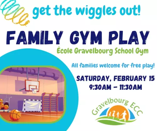 Family Gym Play