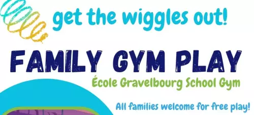 Family Gym Play