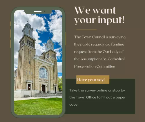 Our Lady of the Assumption Co-Cathedral Funding Survey